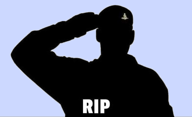 black silhouette image of a soldier saluting with Artillery badge visible on beret